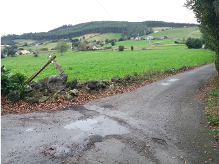 CASTILLO-SAN PEDRO 10