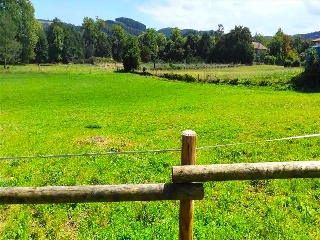 GOLBARDO 5