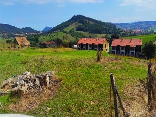 GOLBARDO 7