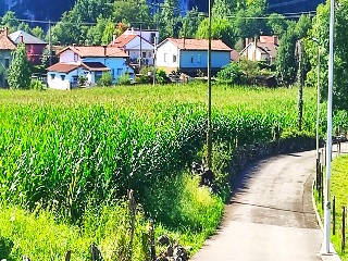 GOLBARDO 8