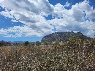 BENISSA-PUERTA OLIVAR 4