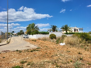 BENISSA-PUERTA OLIVAR 5