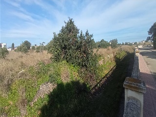BENISSA-PUERTA OLIVAR 6