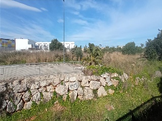 BENISSA-PUERTA OLIVAR 8