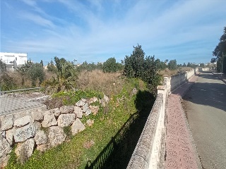 BENISSA-PUERTA OLIVAR 9