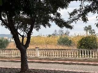BENISSA-PUERTA OLIVAR 13