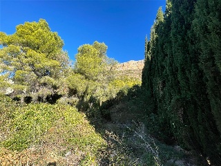 PARCELA 60 D4, PARTIDA EL MONTGO 6
