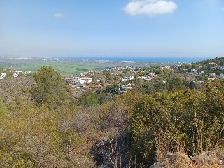 Pisos banco Ràfol d'Almúnia (El)