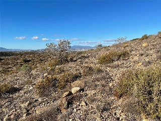 U.A ZR3-M6 EL PALMERAL 3