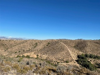 U.A ZR3-M6 EL PALMERAL 6