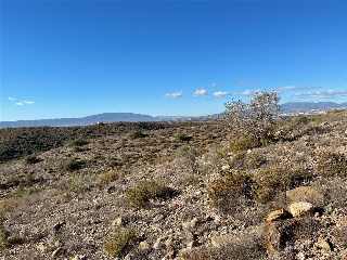 U.A ZR3-M6 EL PALMERAL 7