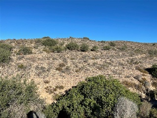 U.A ZR3-M6 EL PALMERAL 9