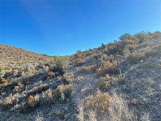 U.A ZR3-M6 EL PALMERAL 10