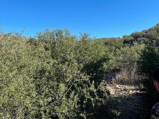 U.A ZR3-M6 EL PALMERAL 12