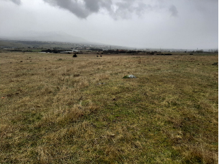 AREA B ERESMA ALTO 12