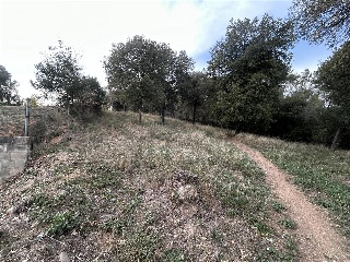 Pisos banco Cànoves i Samalús