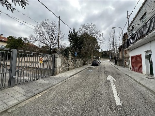 MONTE 5