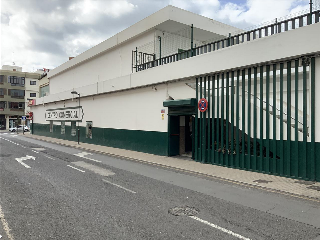 MANOLO MILLARES (C.C. BUGANVILLAS) 4