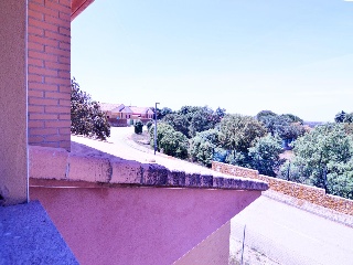 Marco Antonio 12
