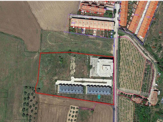 LA BARRILLA Y LAS LONGUILLAS 9