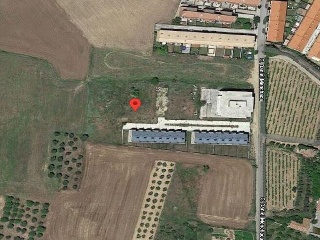 LA BARRILLA Y LAS LONGUILLAS 10