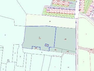 LA BARRILLA Y LAS LONGUILLAS 11