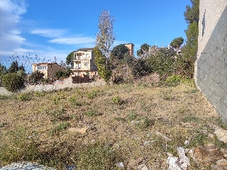 ESTATUT 6