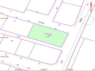 ESTATUT 11