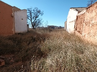 CAMINO REAL 37