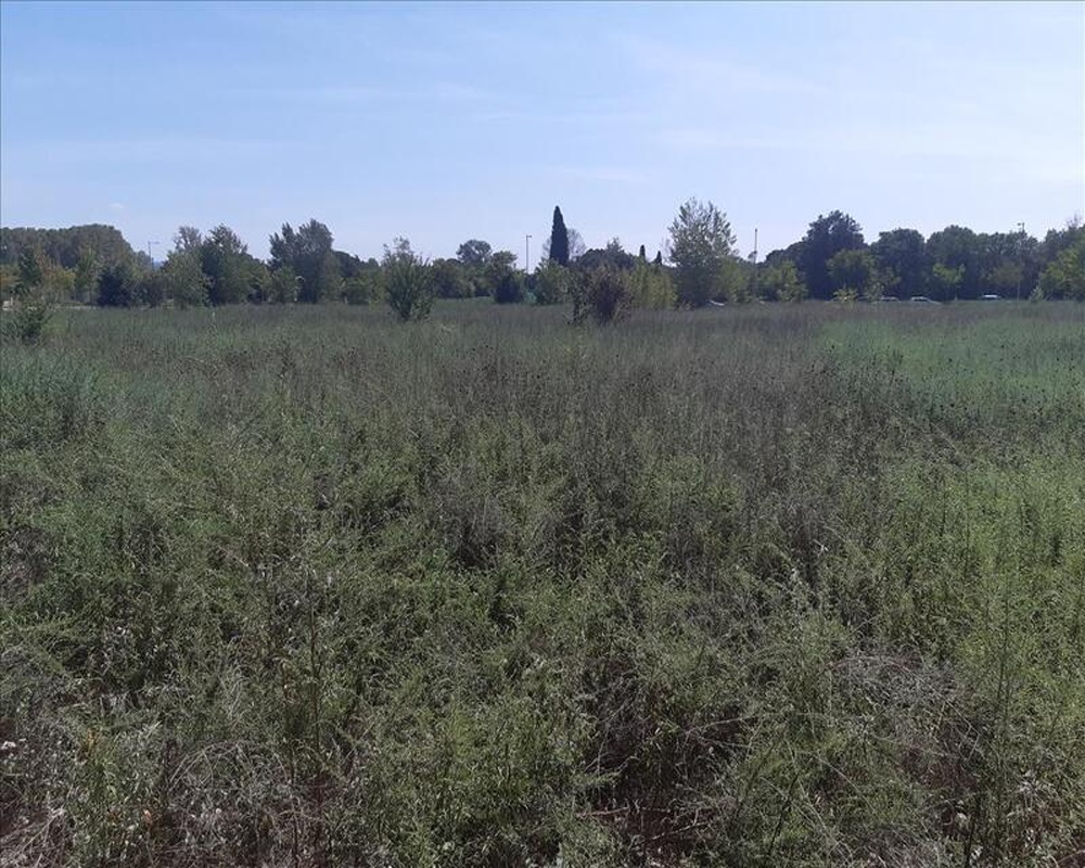S GREGORI-DOMENY