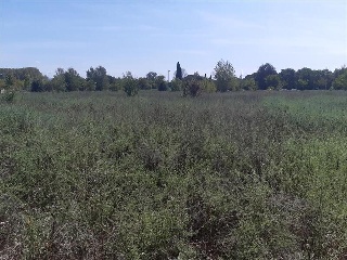 Otros en venta en Girona