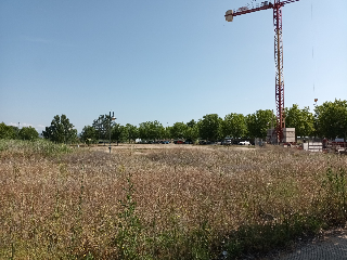 NICOSIA, PARCELA 6