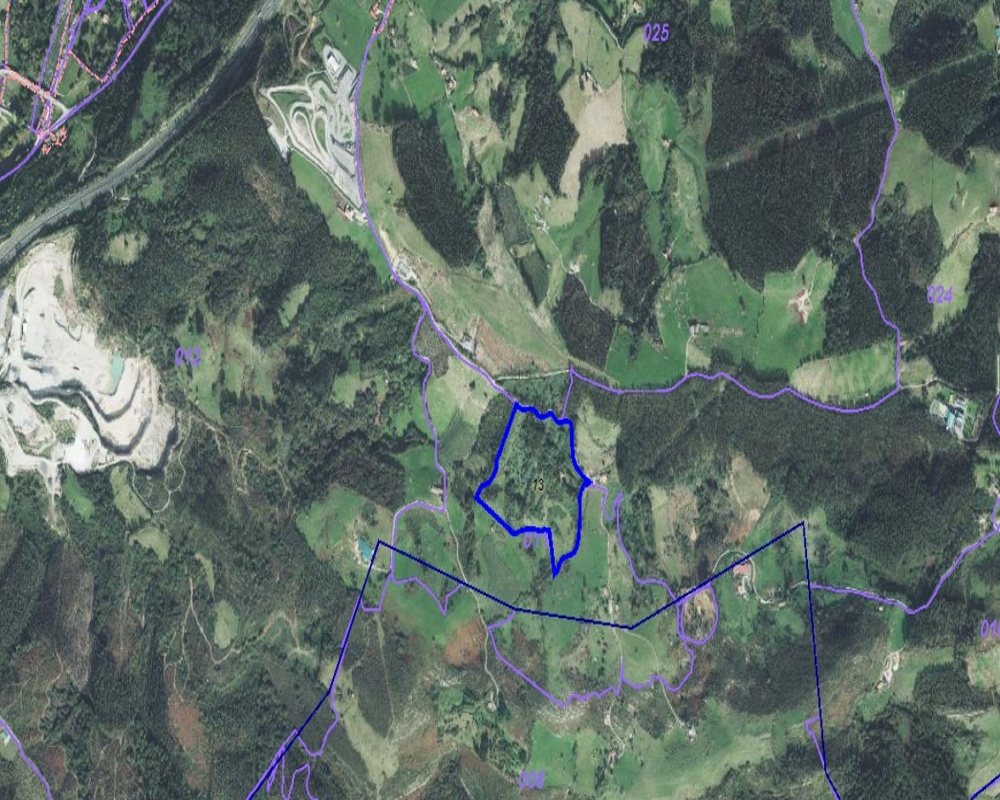 PARAJE MONTE DEL REY Y EL BURCO (POLIGONO 11, PART