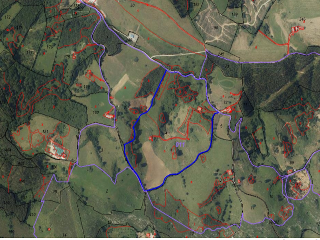 PARAJE MONTE DEL REY Y EL BURCO (POLIGONO 11, PART 2