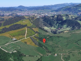 PARAJE MONTE DEL REY Y EL BURCO (POLIGONO 11, PART 3