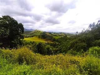 PARAJE MONTE DEL REY Y EL BURCO (POLIGONO 11, PART 5