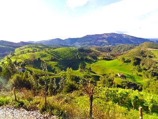 PARAJE MONTE DEL REY Y EL BURCO (POLIGONO 11, PART 6