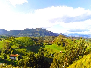 PARAJE MONTE DEL REY Y EL BURCO (POLIGONO 11, PART 7