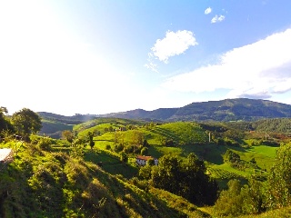 PARAJE MONTE DEL REY Y EL BURCO (POLIGONO 11, PART 8