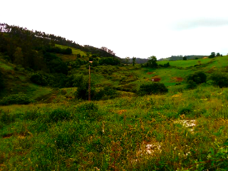 PARAJE MONTE DEL REY Y EL BURCO (POLIGONO 11, PART 9