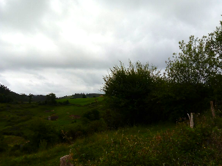 PARAJE MONTE DEL REY Y EL BURCO (POLIGONO 11, PART 10