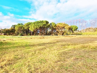 PPR5 JOAN MARAGALL 2