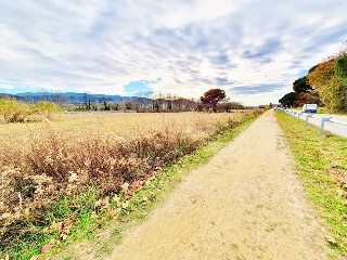 PPR5 JOAN MARAGALL 3