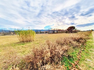 PPR5 JOAN MARAGALL 5