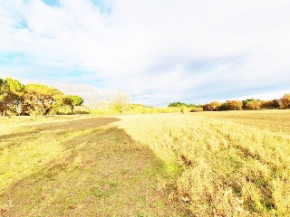 PPR5 JOAN MARAGALL 6