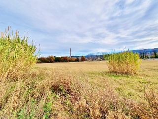 PPR5 JOAN MARAGALL 8