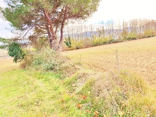 PPR5 JOAN MARAGALL 10