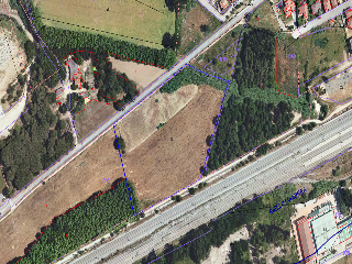 PPR5 JOAN MARAGALL 12