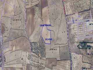 Polígono 11 Parcela 126 LOS BARRILLOS. 8