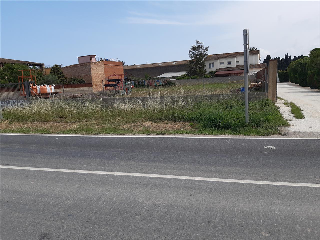VELL DE SANT MIQUEL DE FLUVIA 8